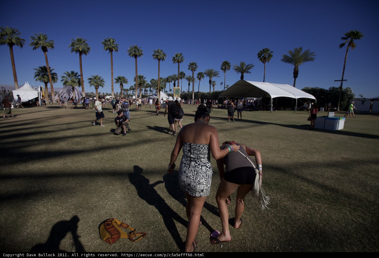 Walking Through a Palm Tree Paradise