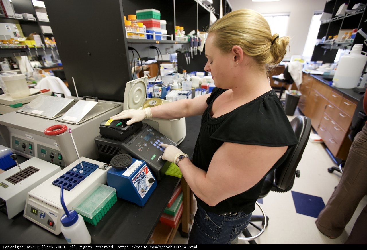 Lab Work
