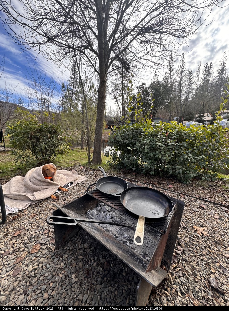Outdoor Getaway: Grilling and Chilling Experience