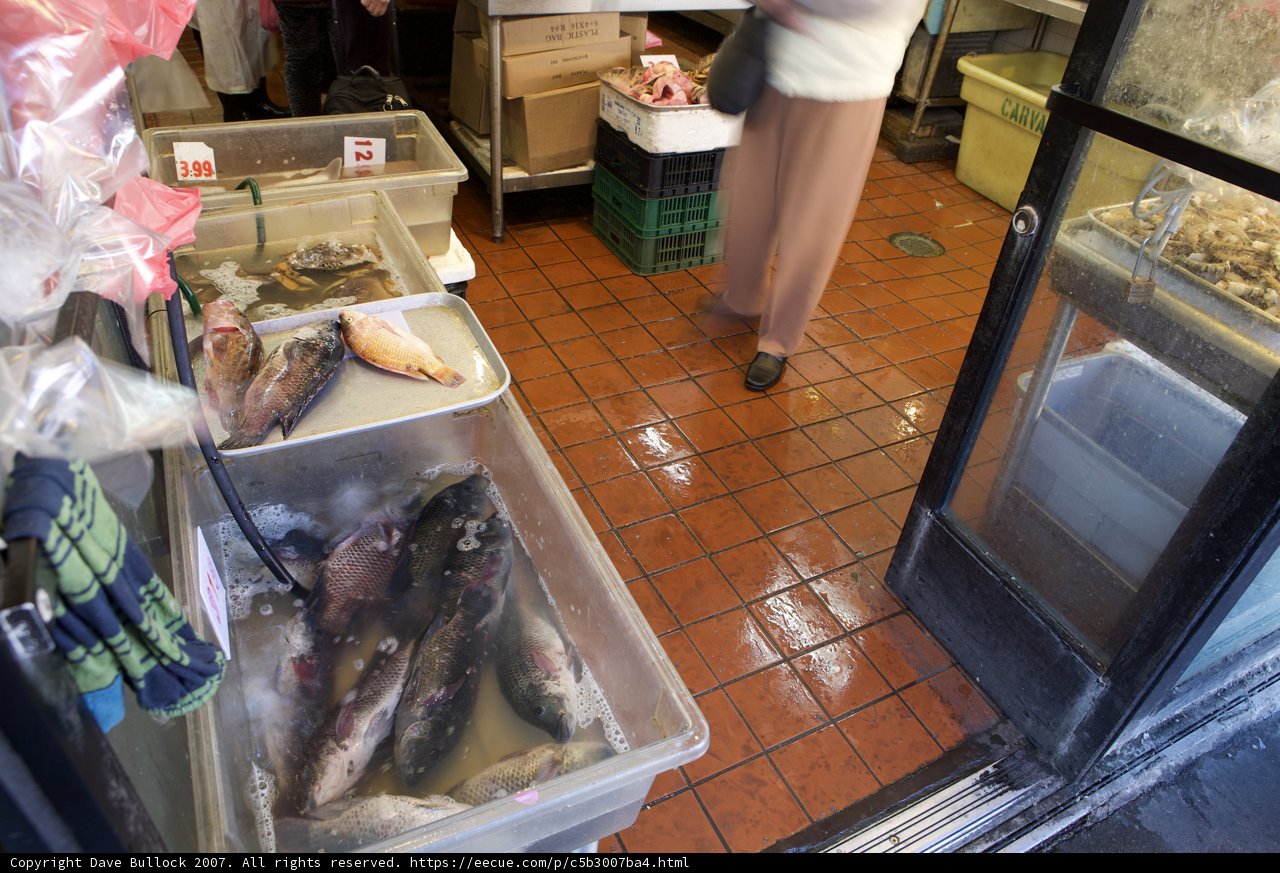 Shopping at the Fish Market