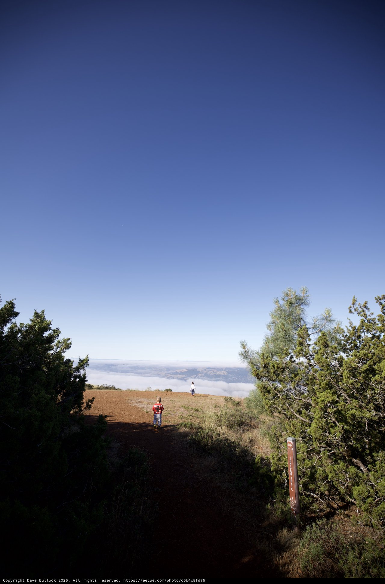 Above the Clouds on Mount Diablo's Juniper Trail