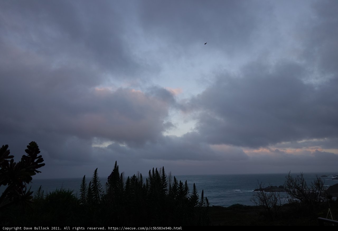 Flight over the Dusk Ocean