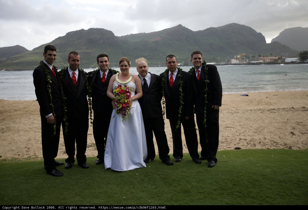 Wedding Party on the Beach
