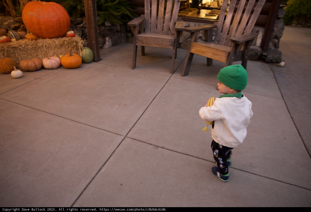Autumn Adventures with Wesley