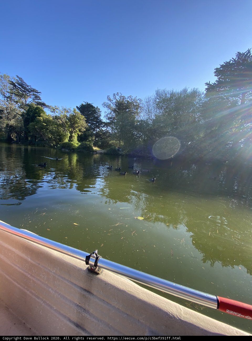 Serene Sailing on Strawberry Hill Lake