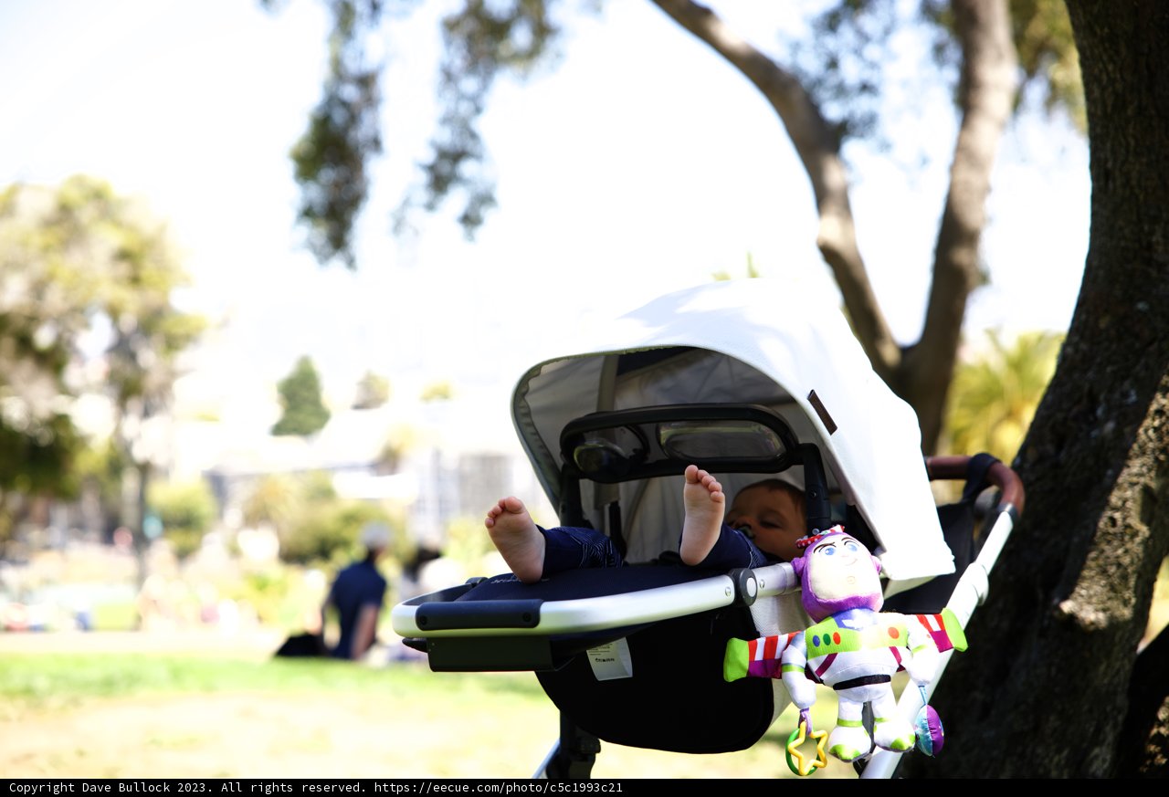 Charming Day at Delores Park