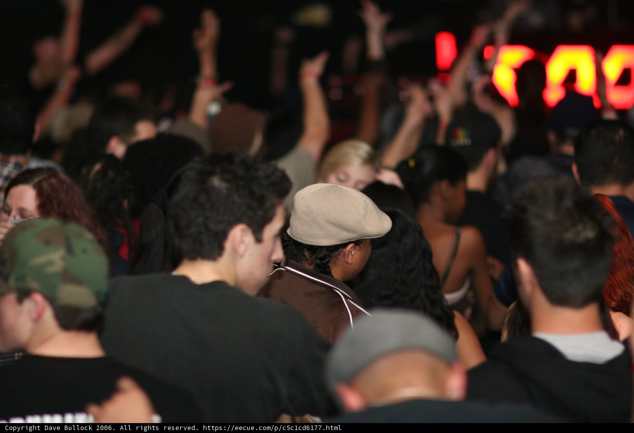 Crowd of Baseball Cap Fans