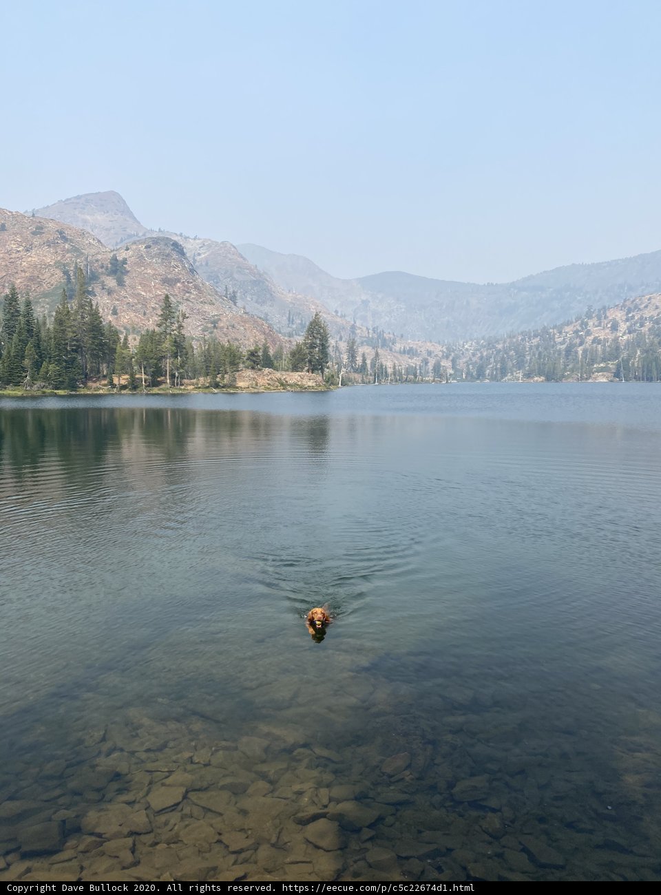 Doggy Paddle in Susie Lake
