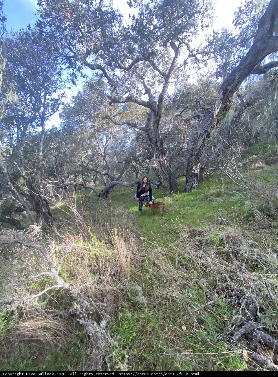 A Peaceful Walk in the Wilderness