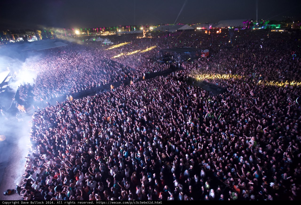 Festival Frenzy