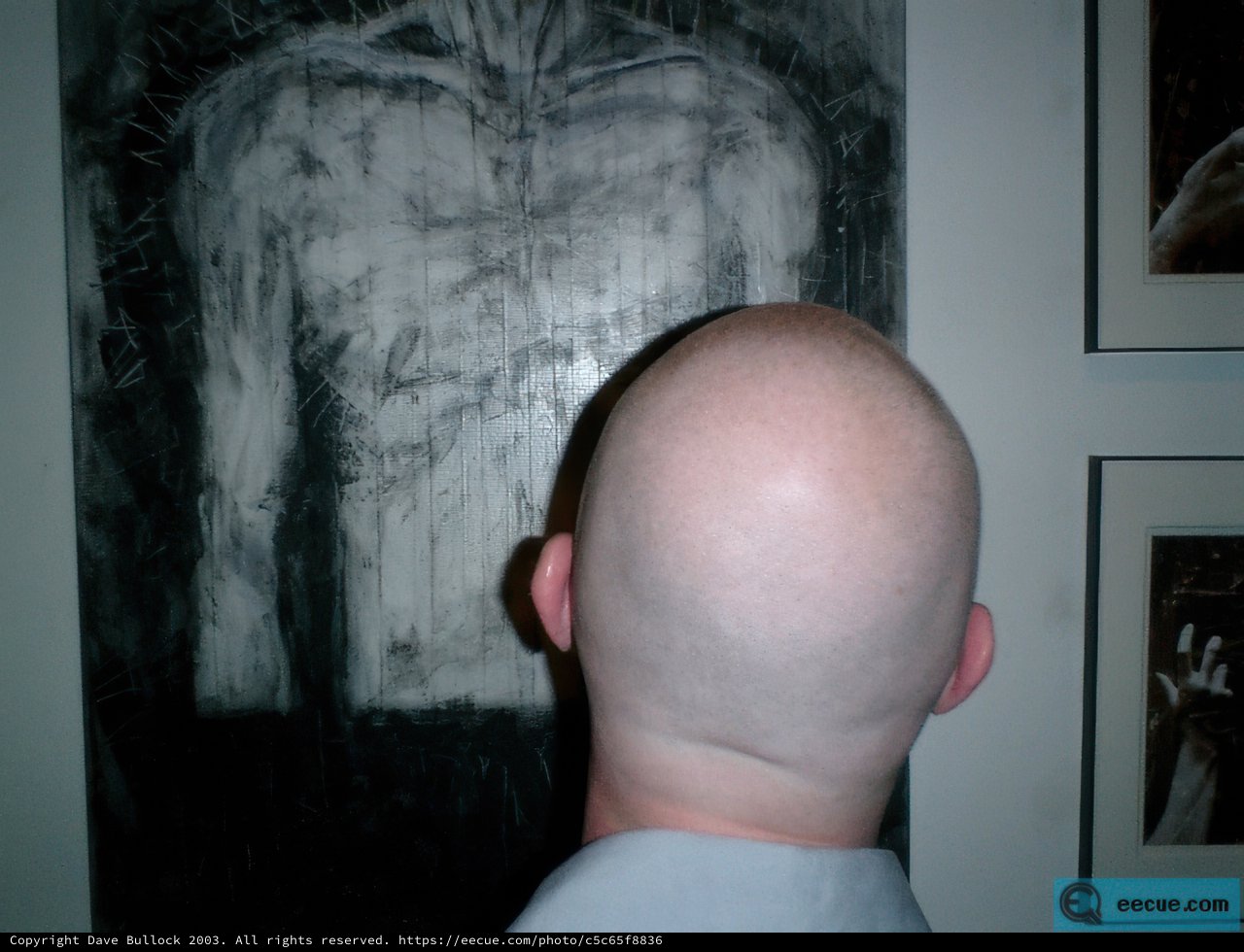 Contemplating Art