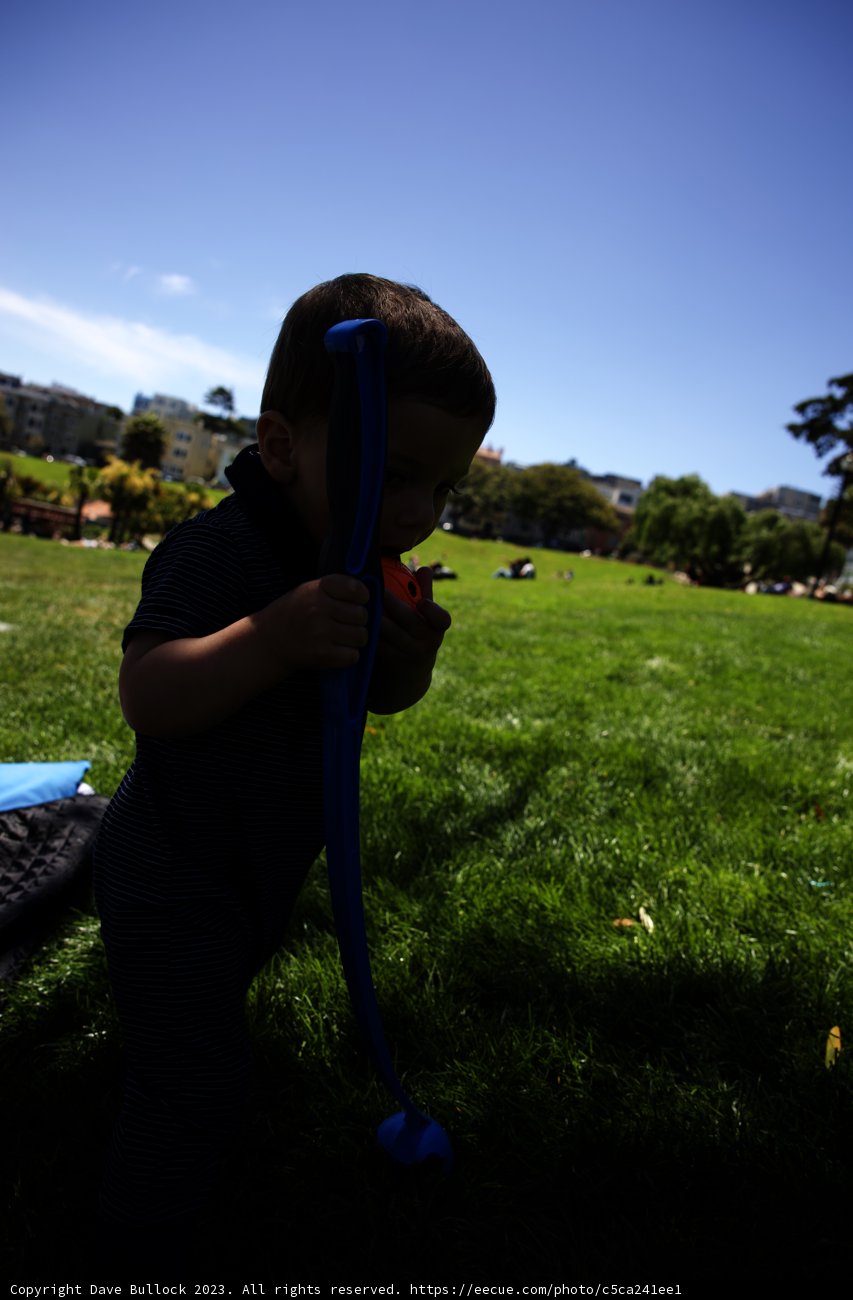 Summer Splendor in Delores Park