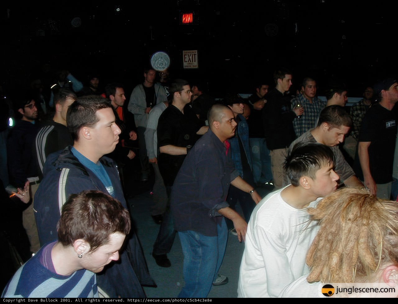 Nightclub Partygoers Enjoying the Dance Floor