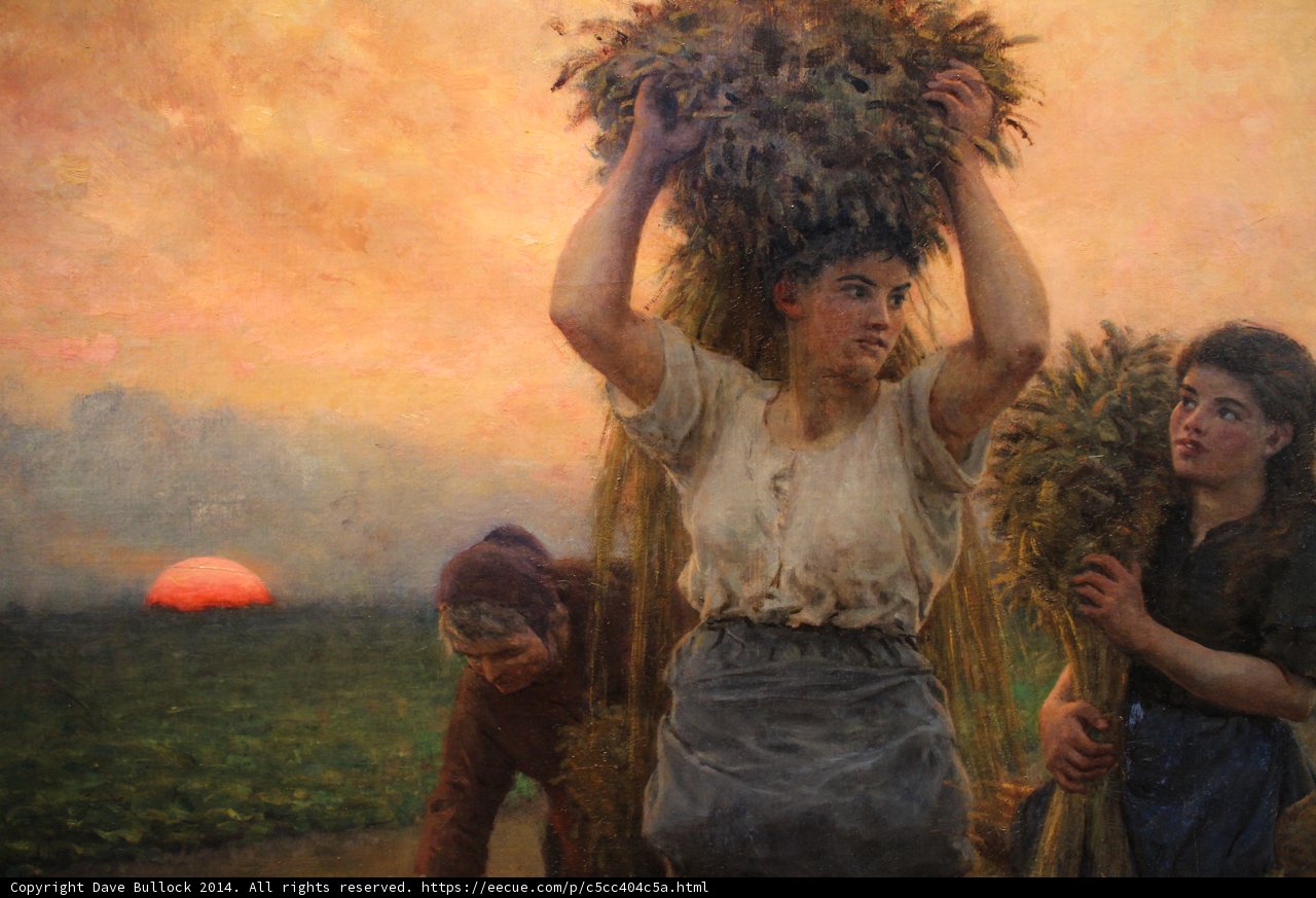 Harvest in the Countryside