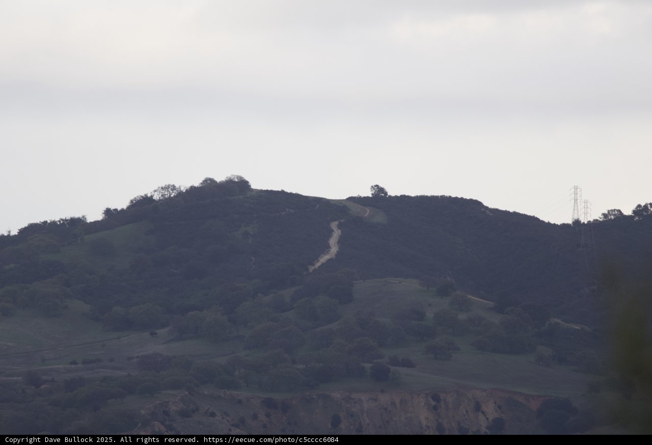 Tranquil Hillside
