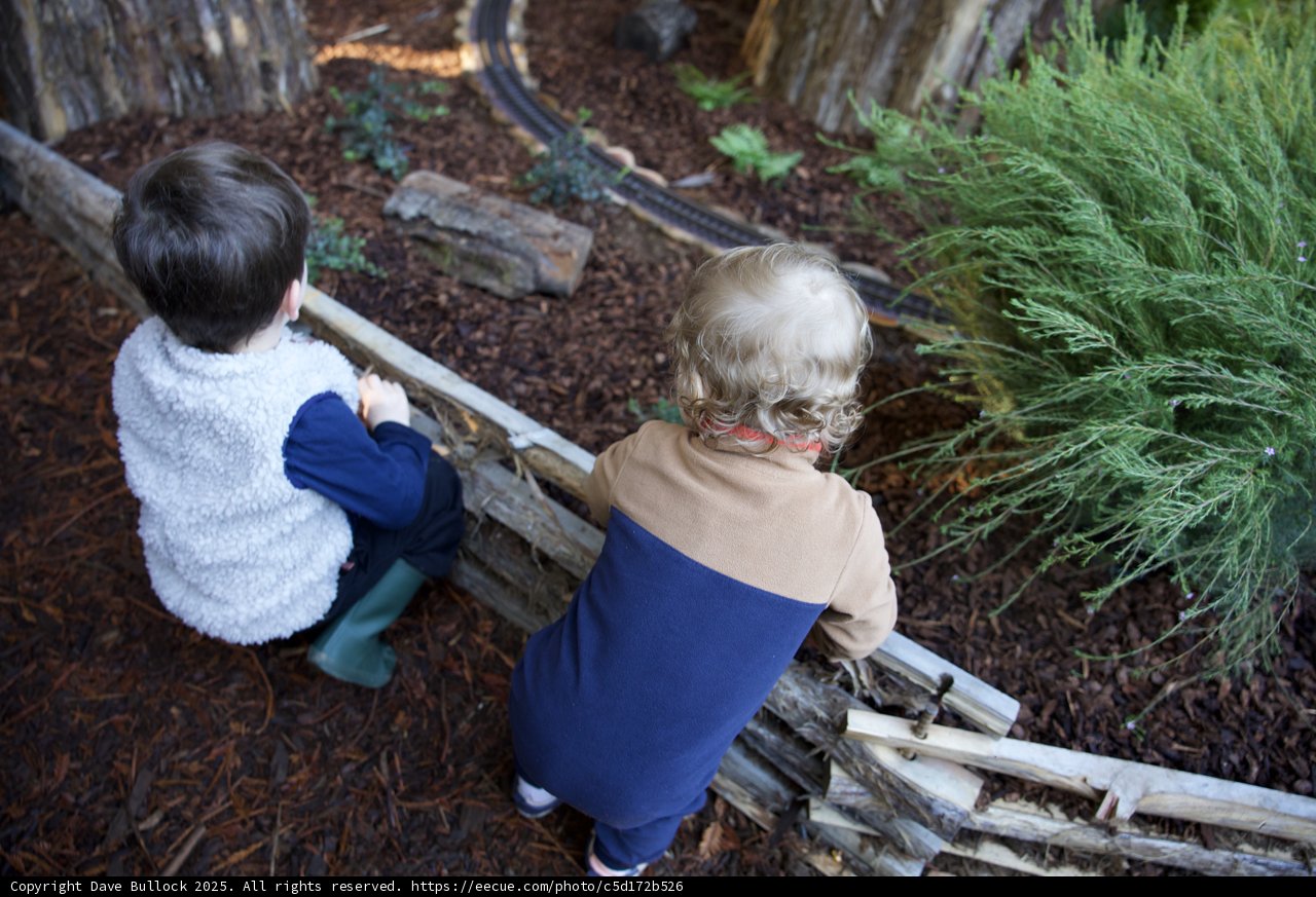 Enchanted Explorers: A Woodland Adventure