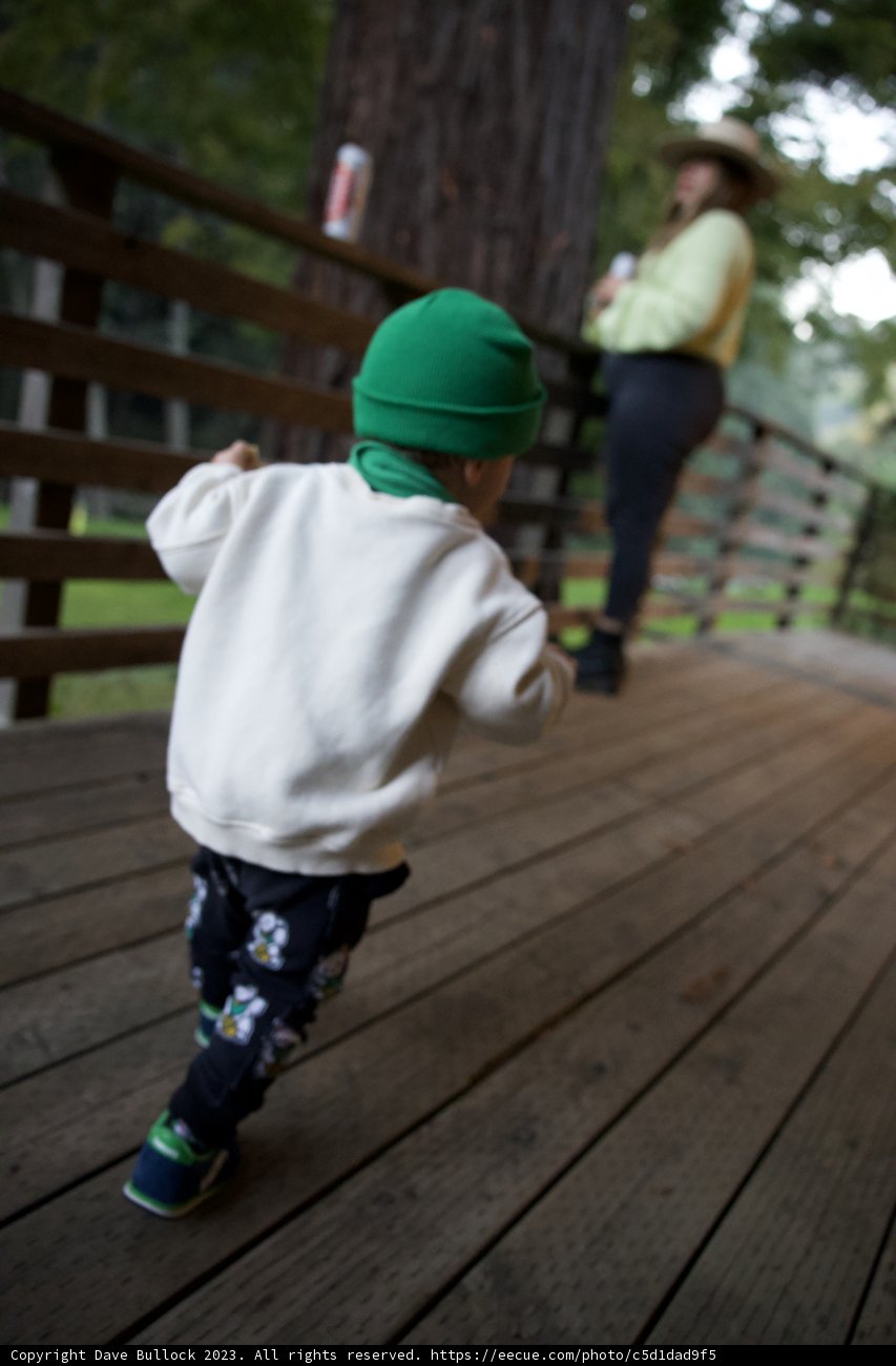 Big Sur Adventure: Wesley's Exploration