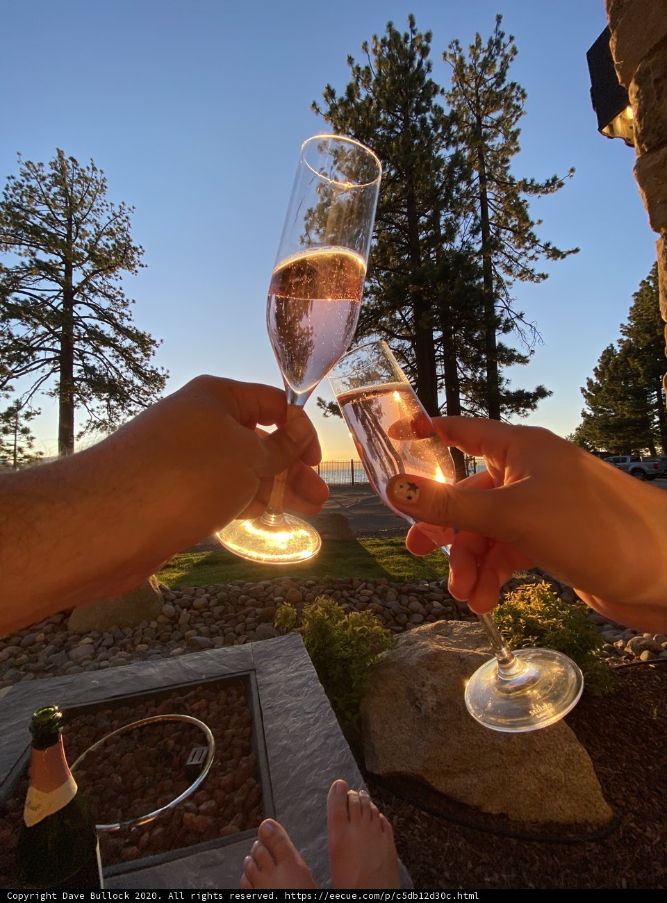 A Toast to Nature's Beauty