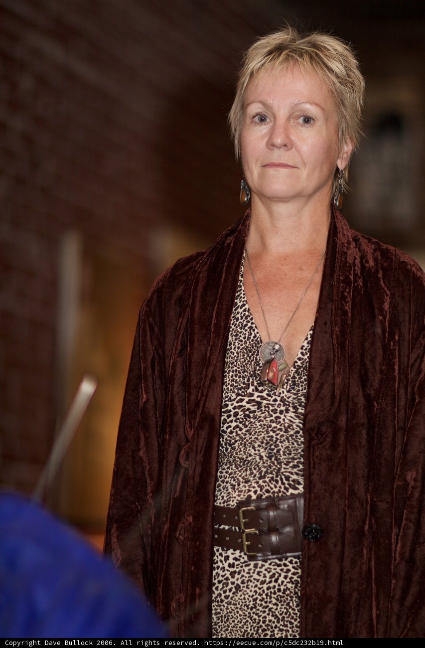 Fashionable Lady in a Brown Coat