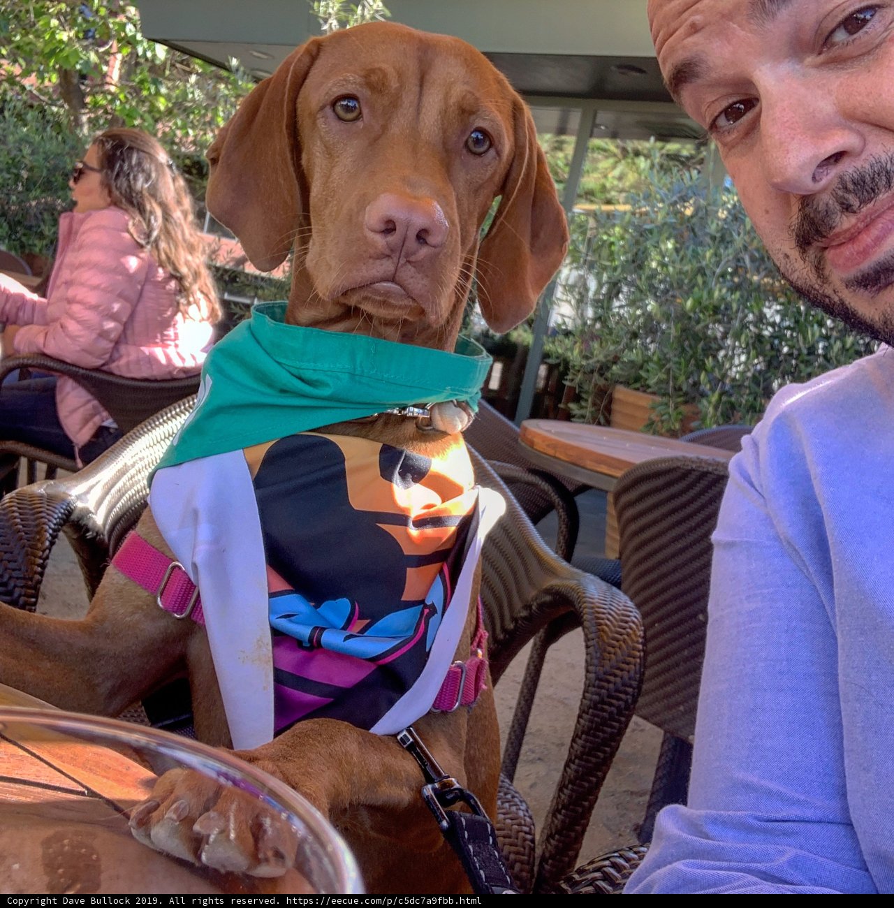 Man's Best Friend