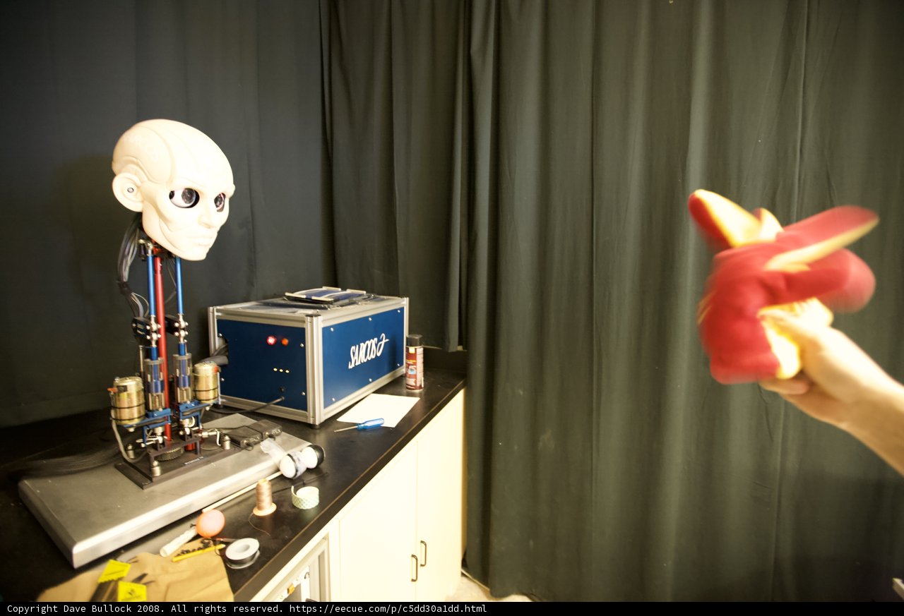 Red Object on Mannequin Head