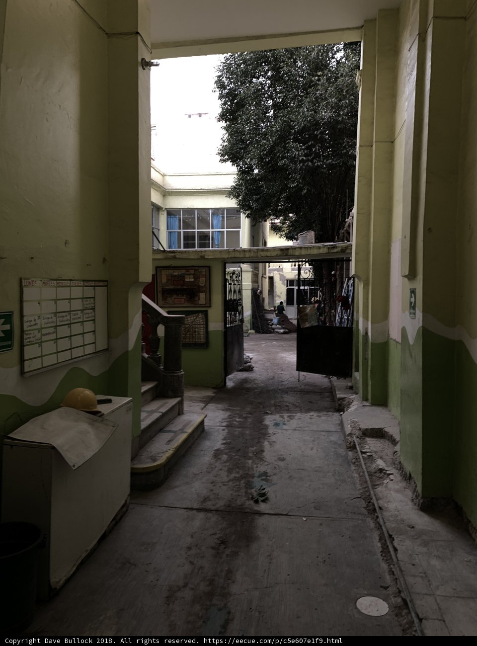 Urban Corridor with Tree Background
