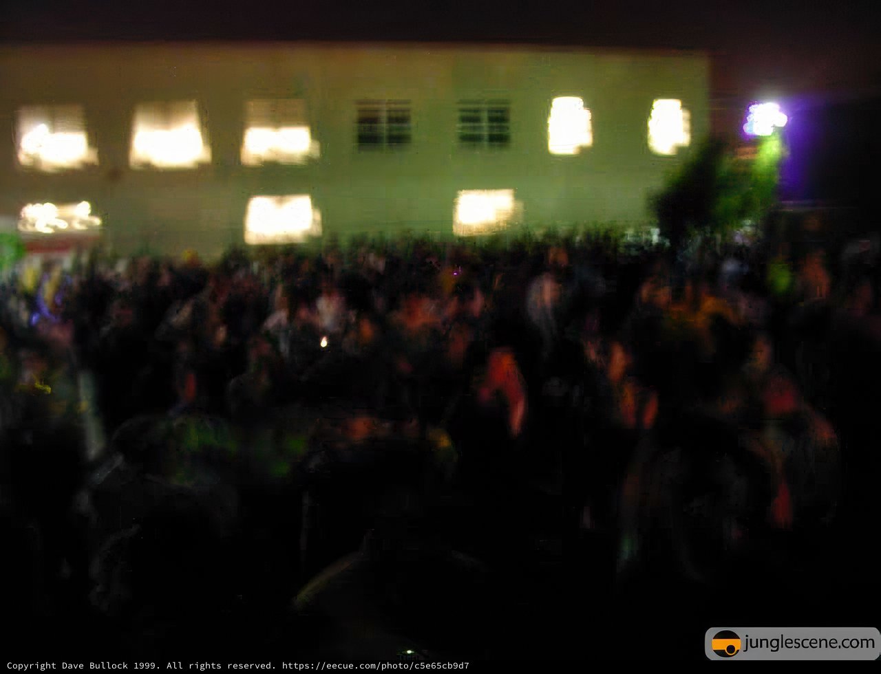 Lights and Shadows of a Night Crowd