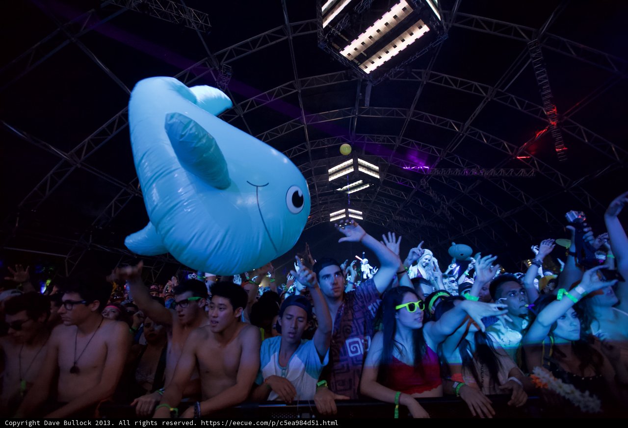 Inflatable Dolphin Takes the Stage at Coachella Music Festival