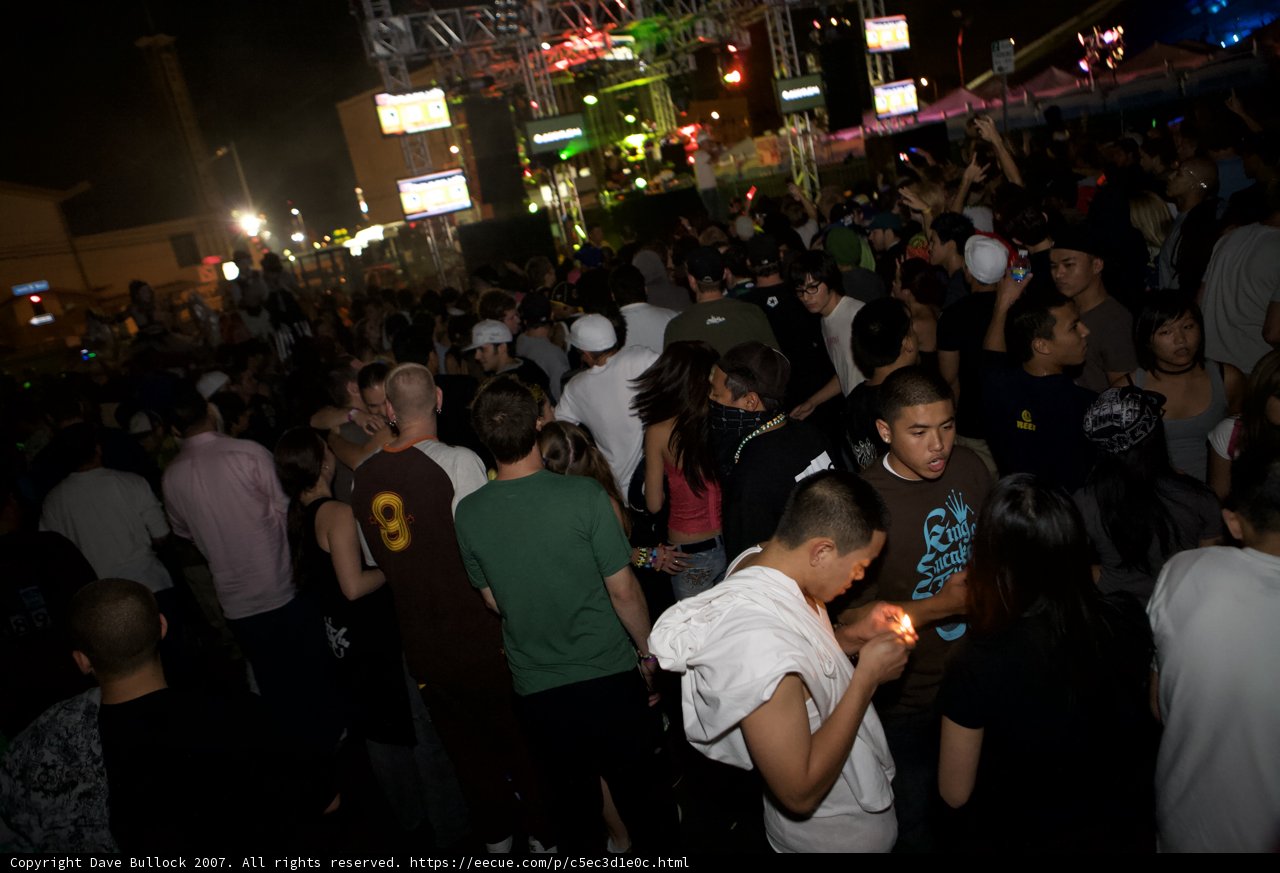 Nocturnal Party Vibes