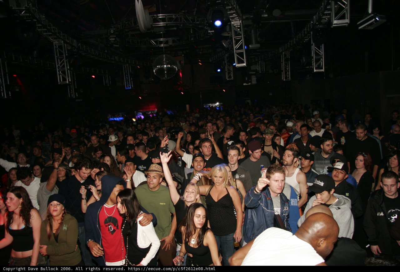 High-energy Concert Crowd
