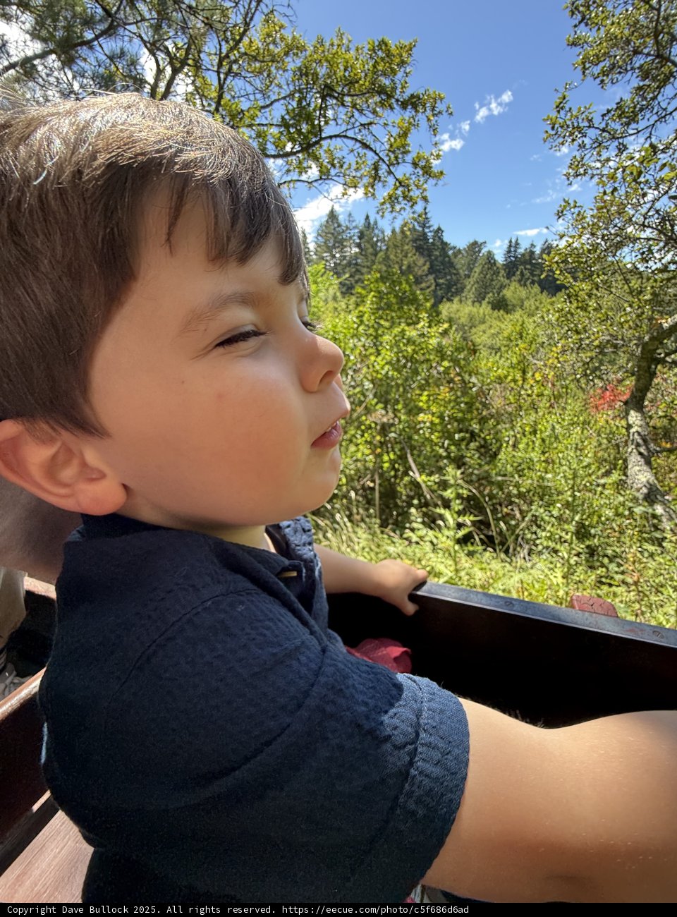 A Boy's Moment in Nature