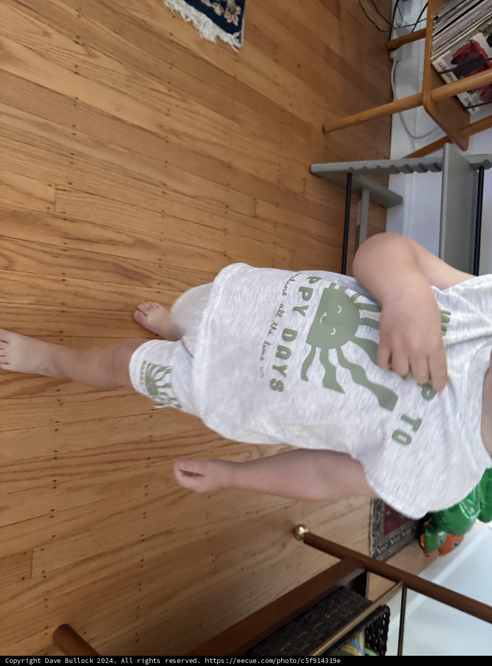 Little Steps on Hardwood