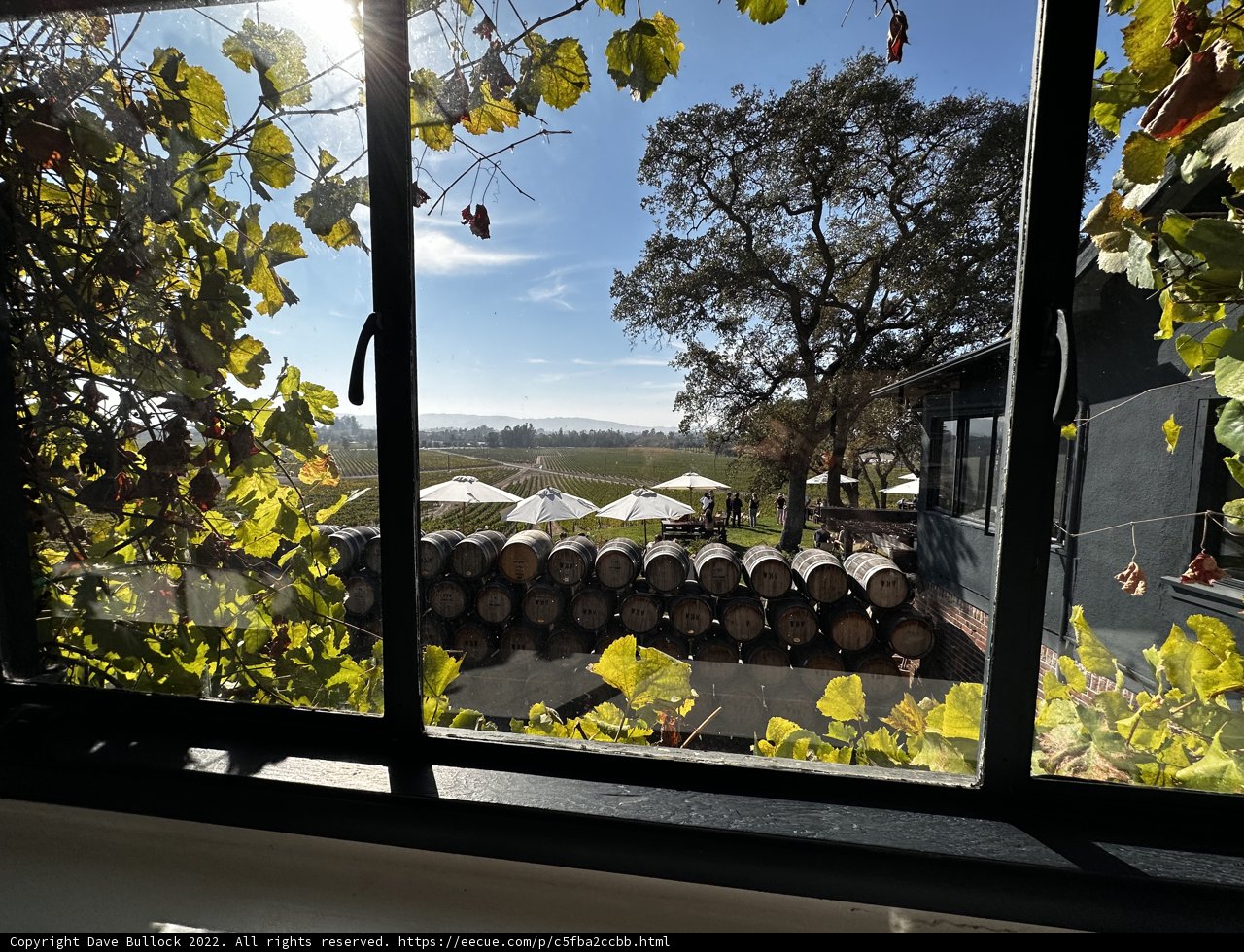 Vineyard Vista