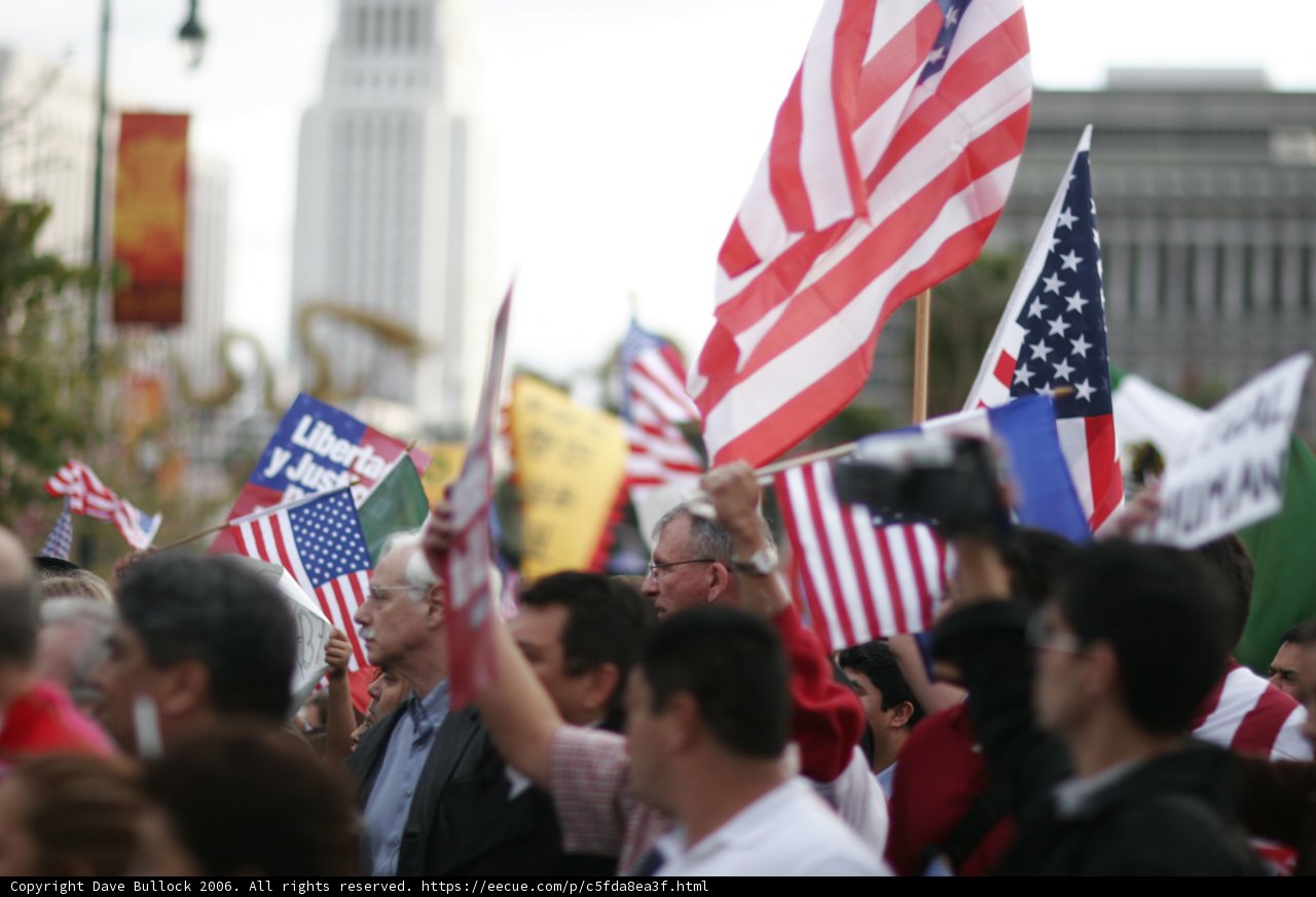Patriotic Crowd