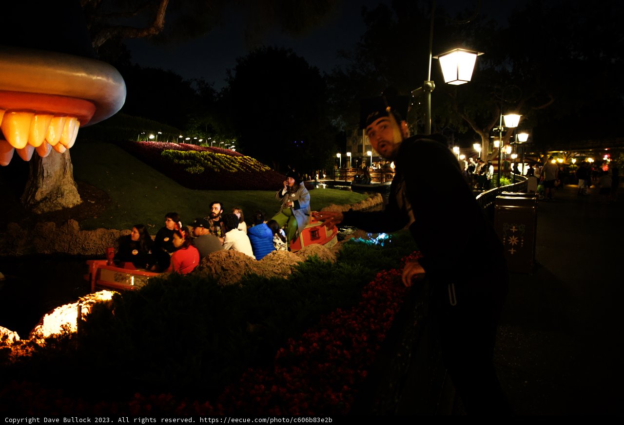 Enchanting Night at Disneyland