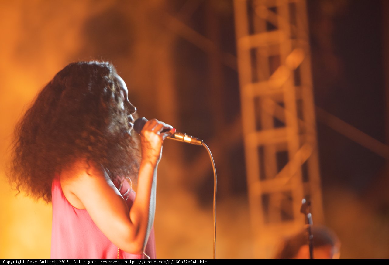 Solange Profile Singing Wild Hair Scaffolding Orange Haze