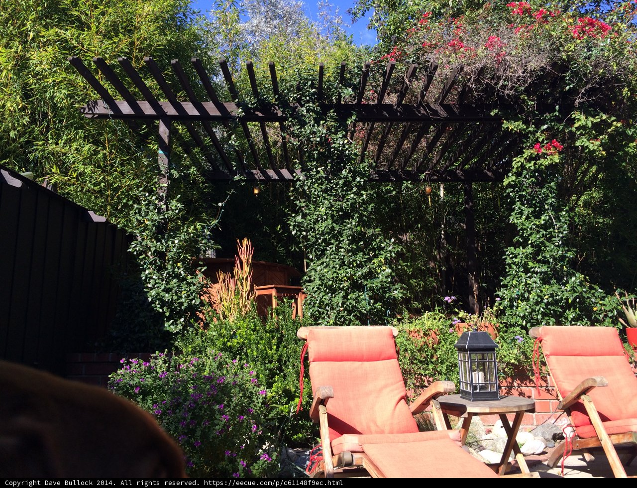 Relaxing in the Garden
