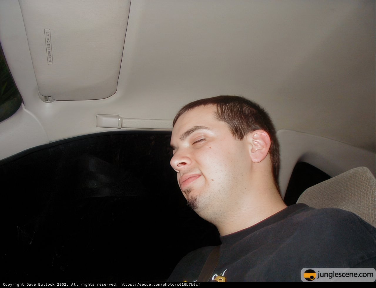 Dreaming in the Back Seat