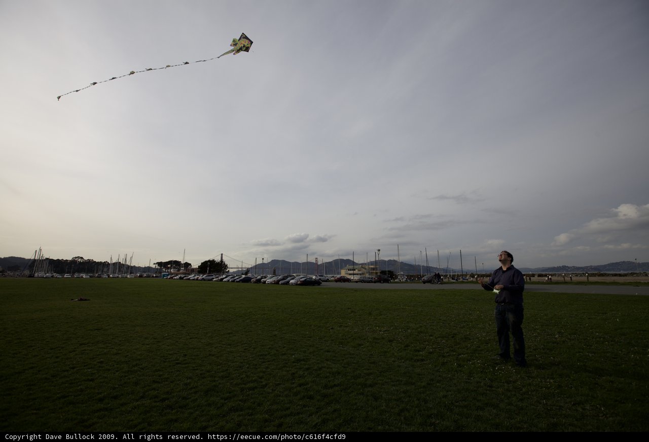 Kite Flying Fun in the Field