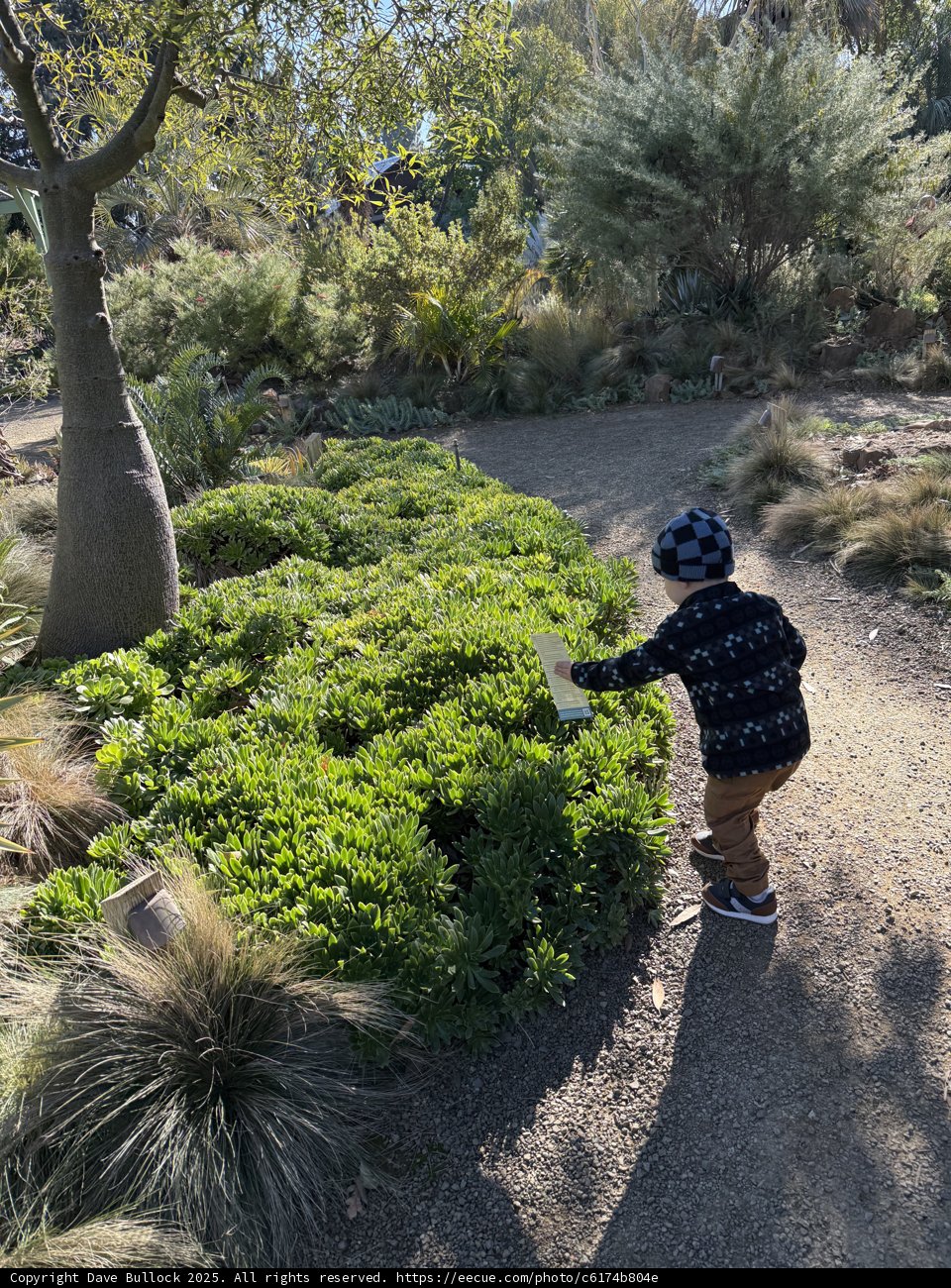 Exploring Nature's Path