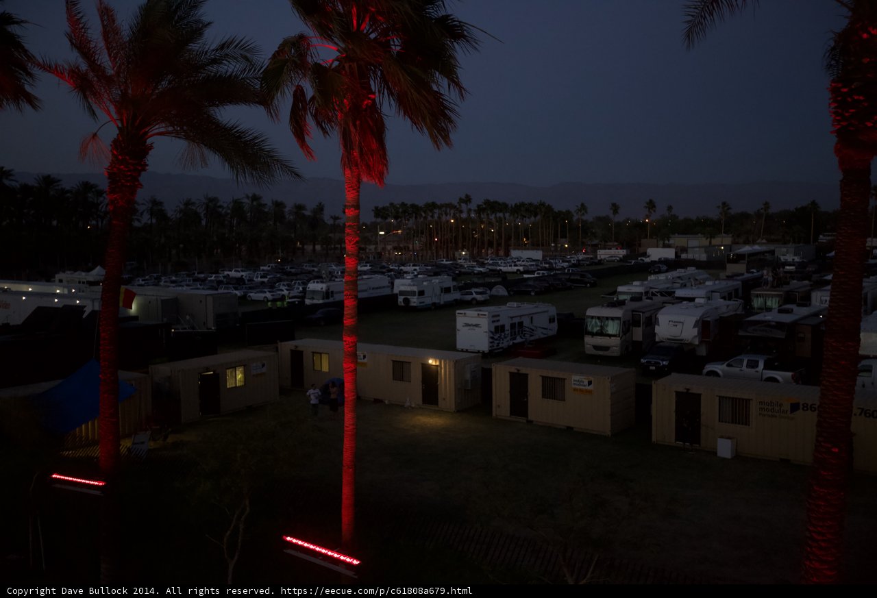 Red Light on Palm Tree at Coachella Campground