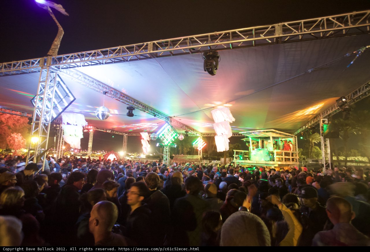 Electric Nights: The Crowd at Coachella 2012