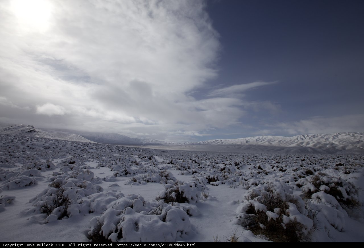 Majestic Winter Wonderland
