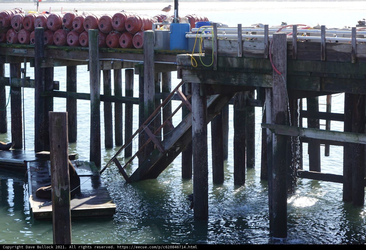 Colorful Cargo at the Pier