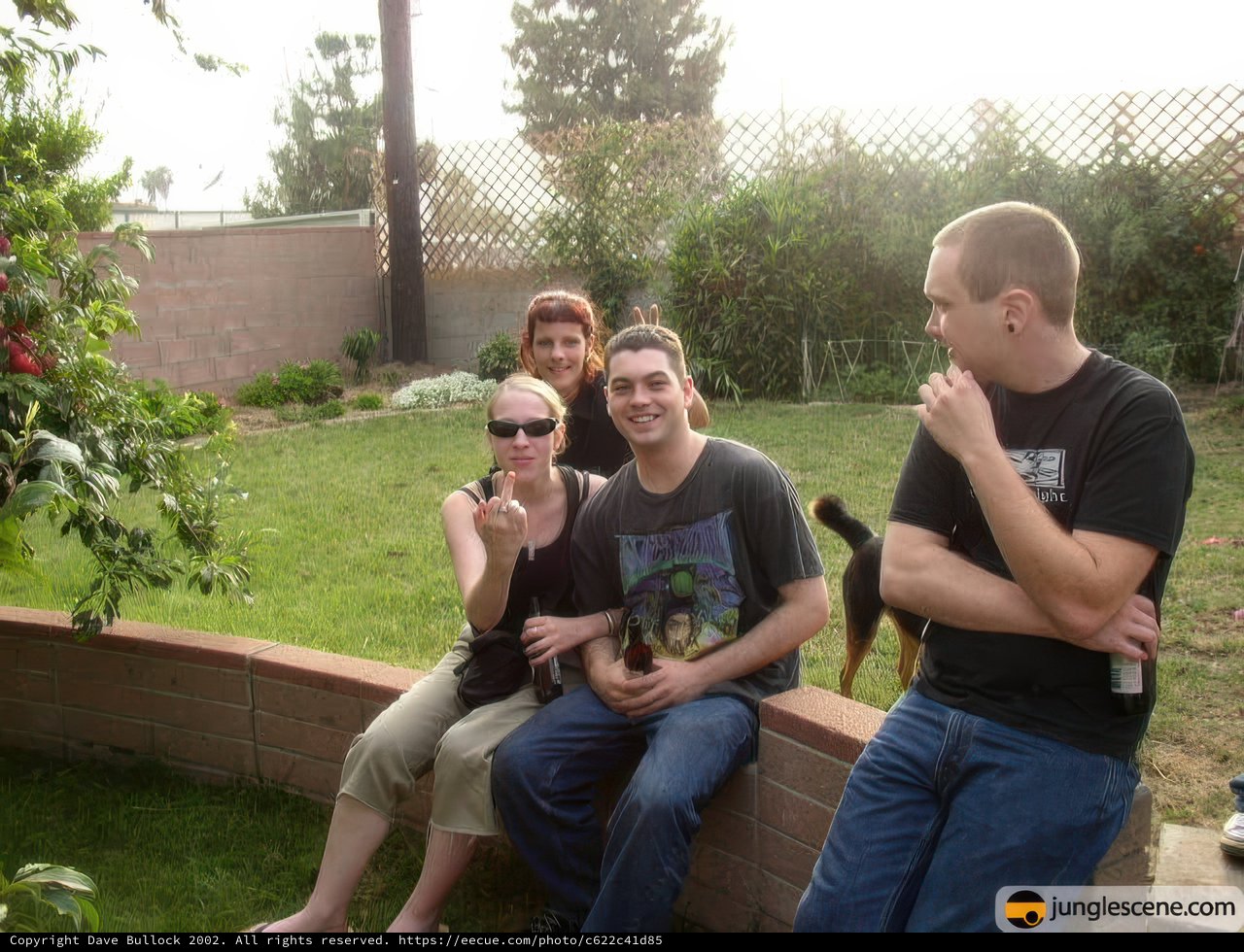 A Summer Gathering in the Backyard