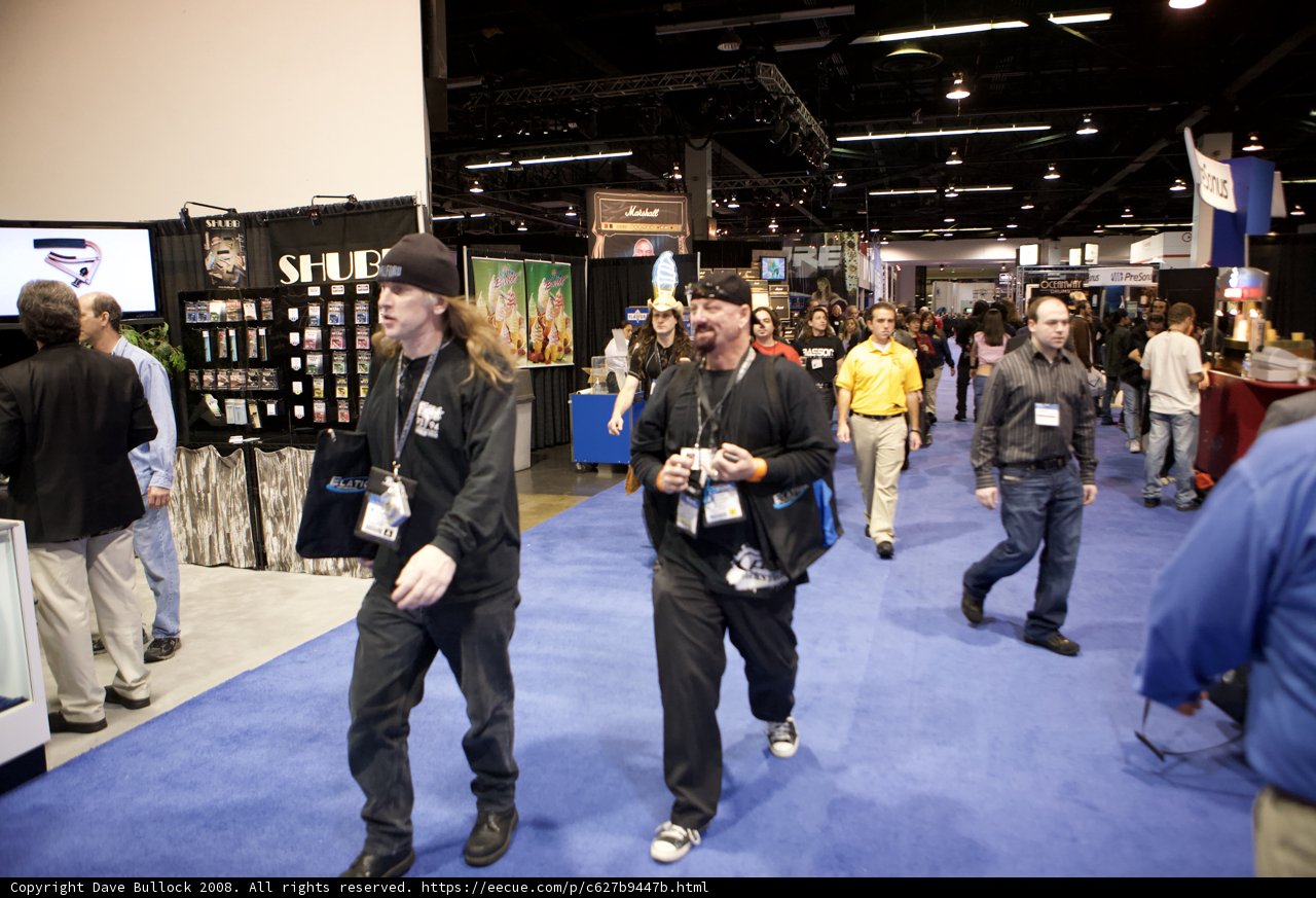 Convention Crowd