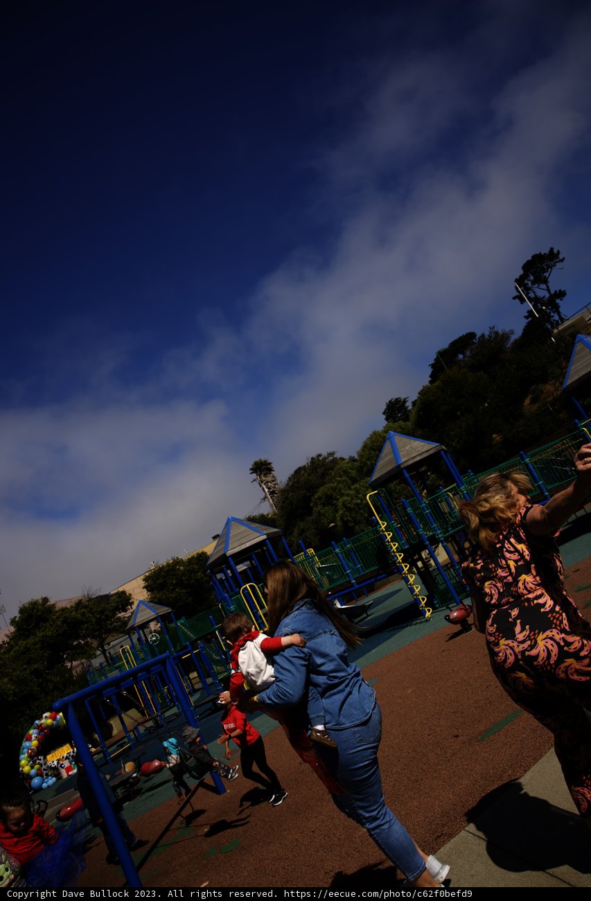 Summer's Heartbeat at the Park