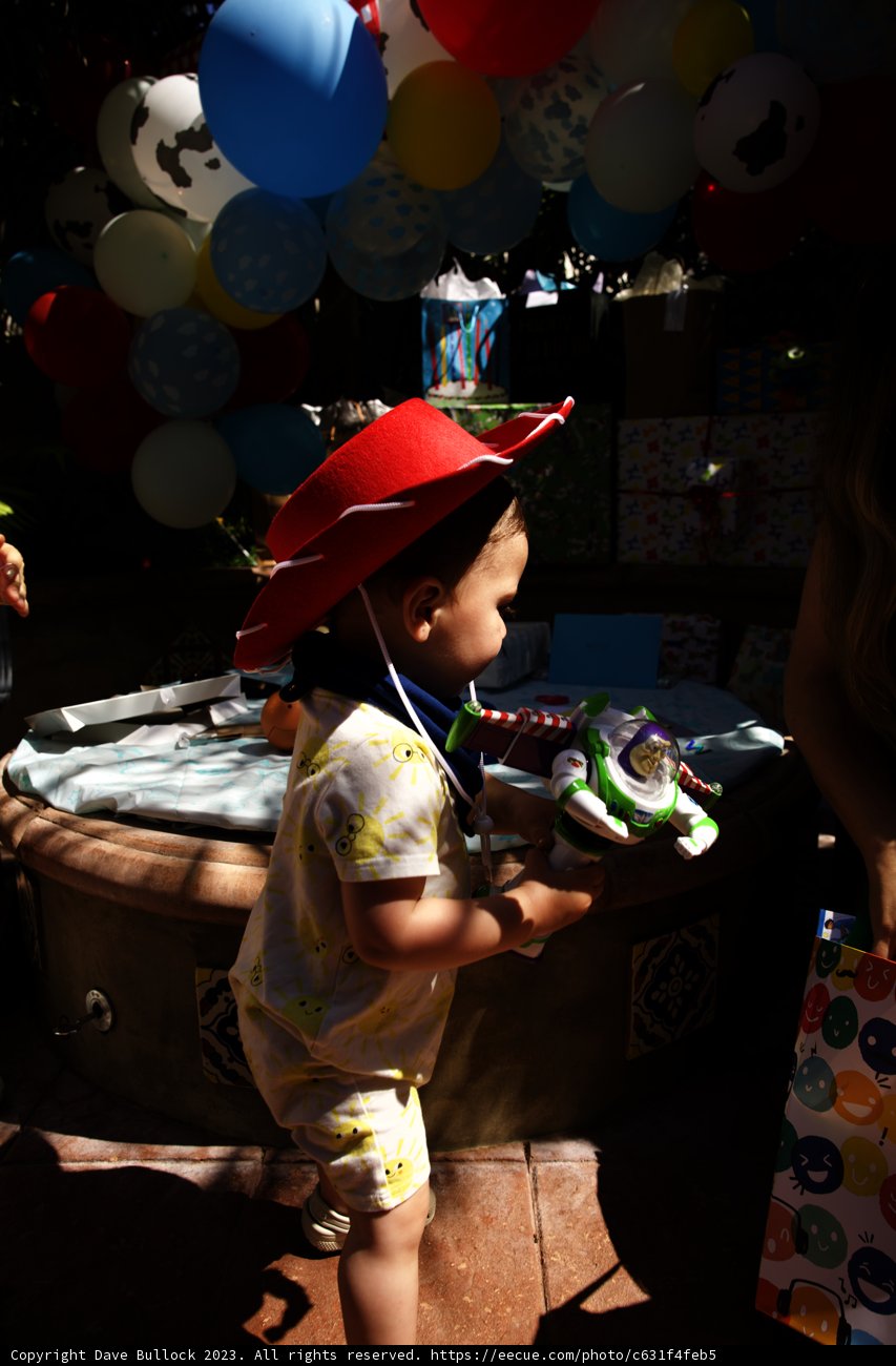 Birthday Boy Basking in Balloons