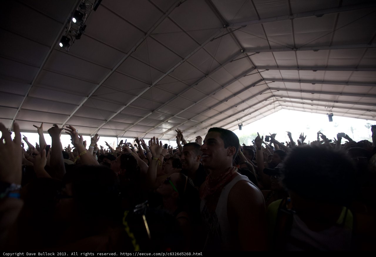Raising the Roof in a Sea of Concertgoers