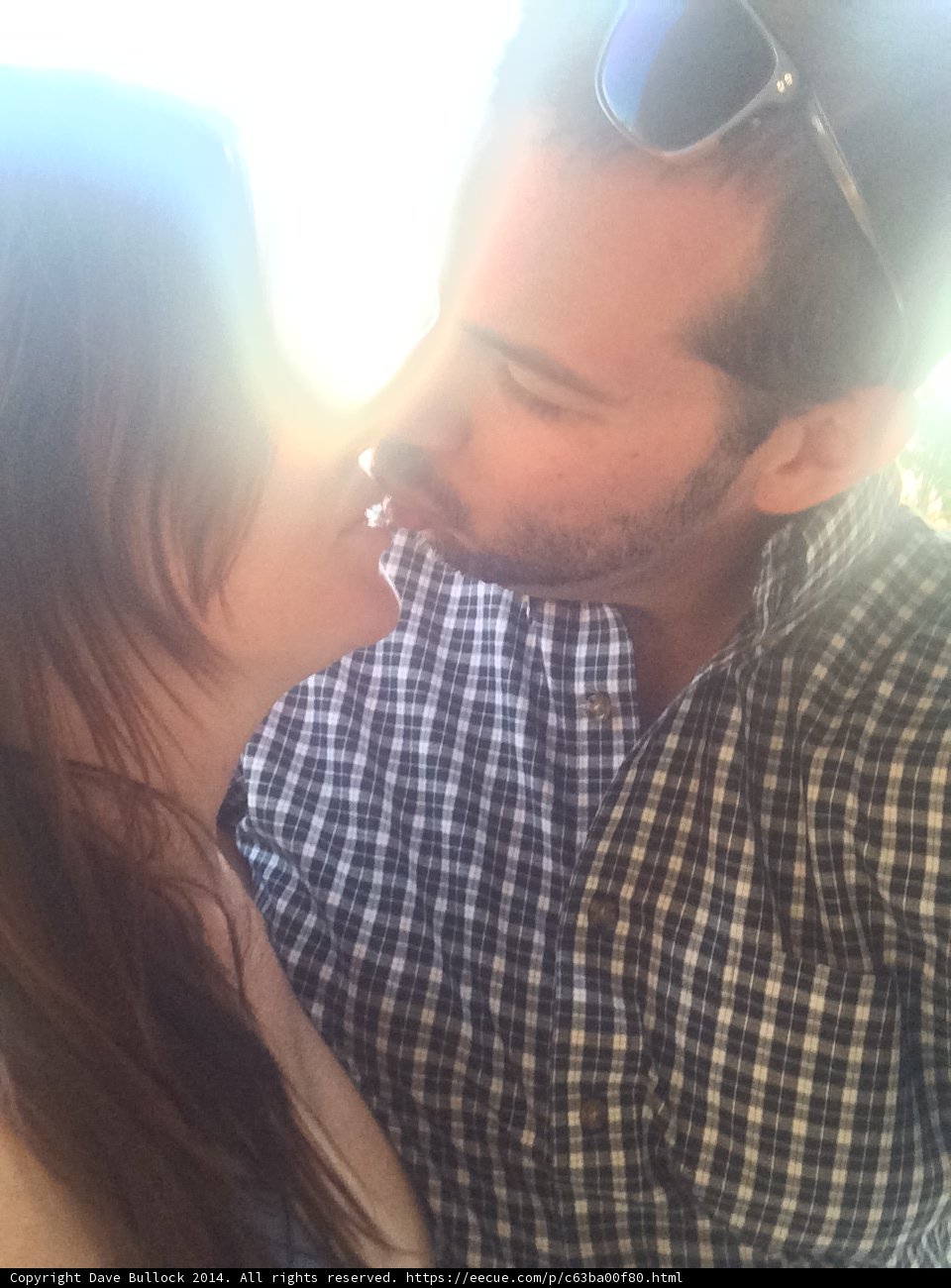 Sun-kissed Love